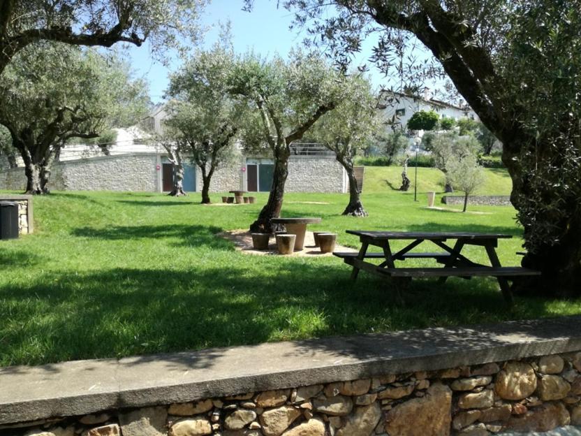 Vila Casa D'Avo Mila Góis Exteriér fotografie